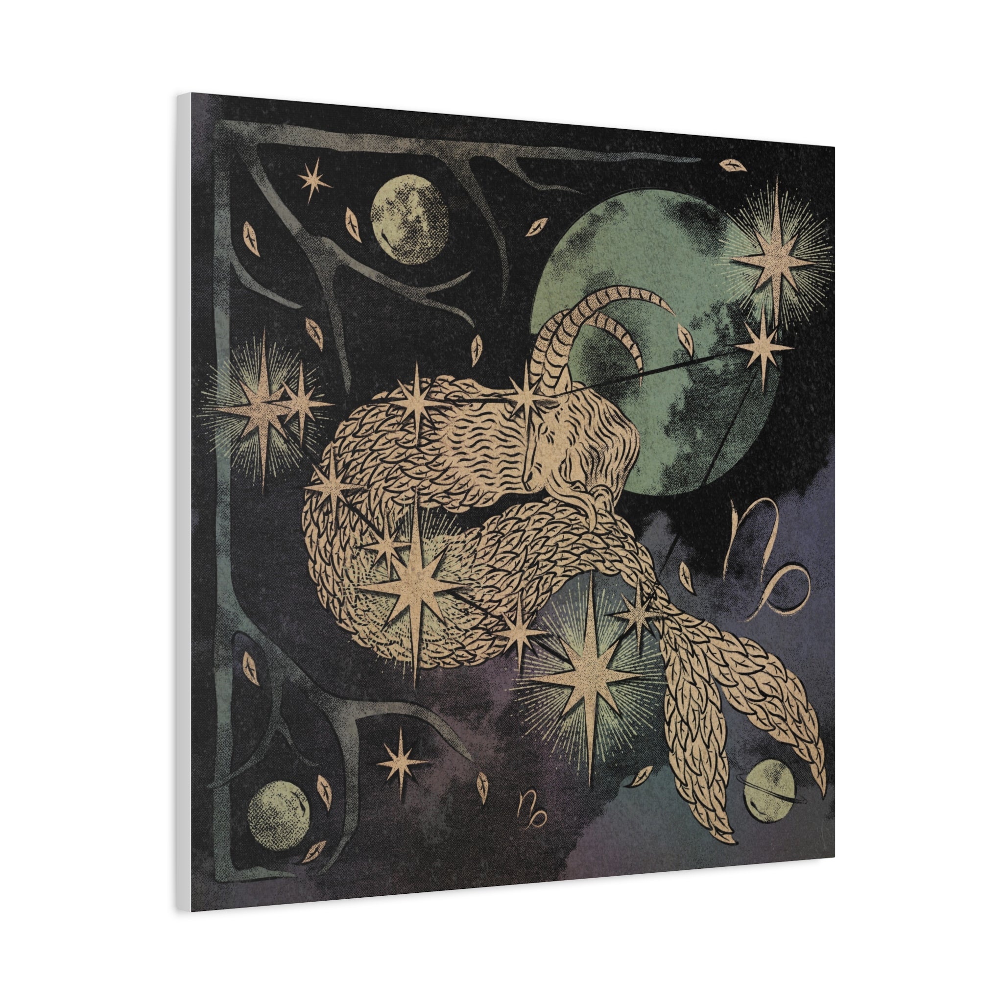 Capricorn