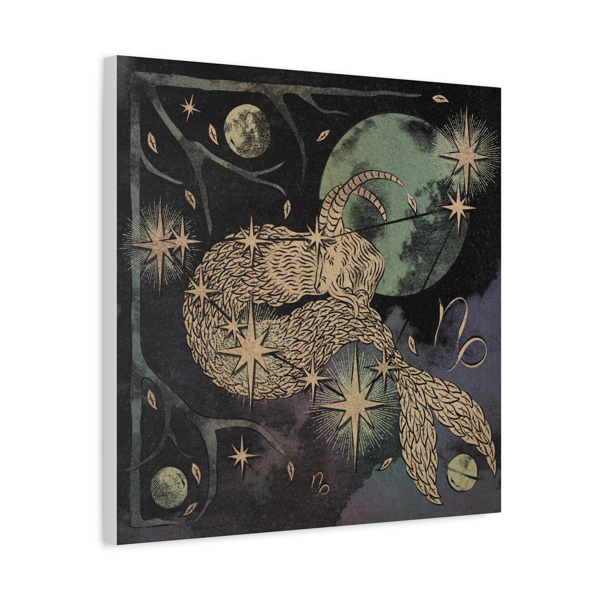 Capricorn