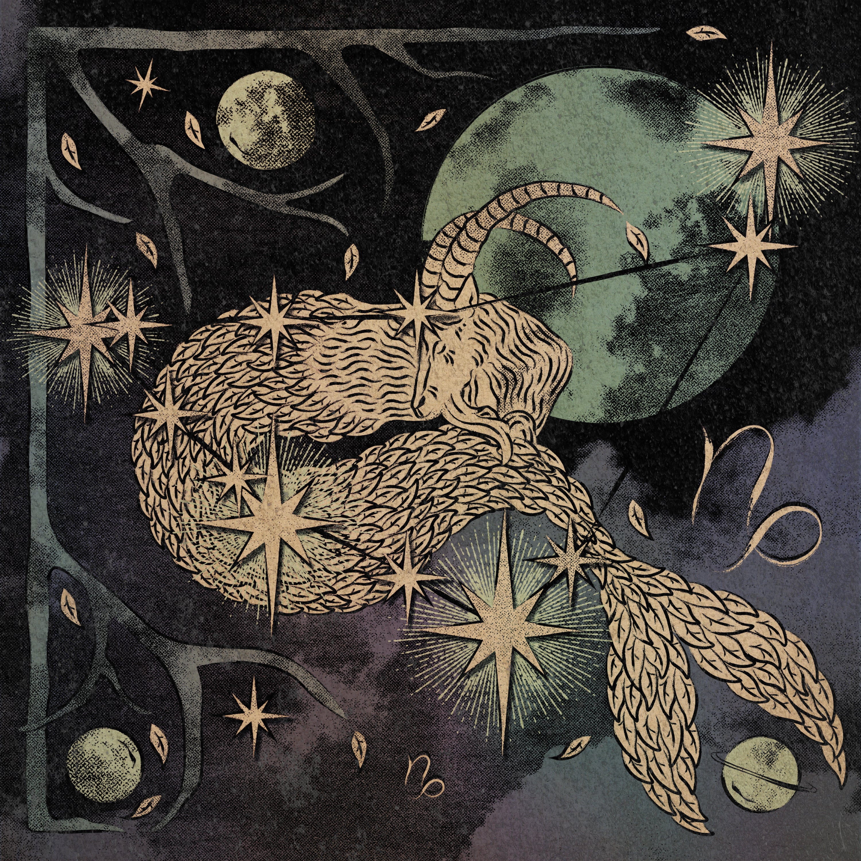 Capricorn